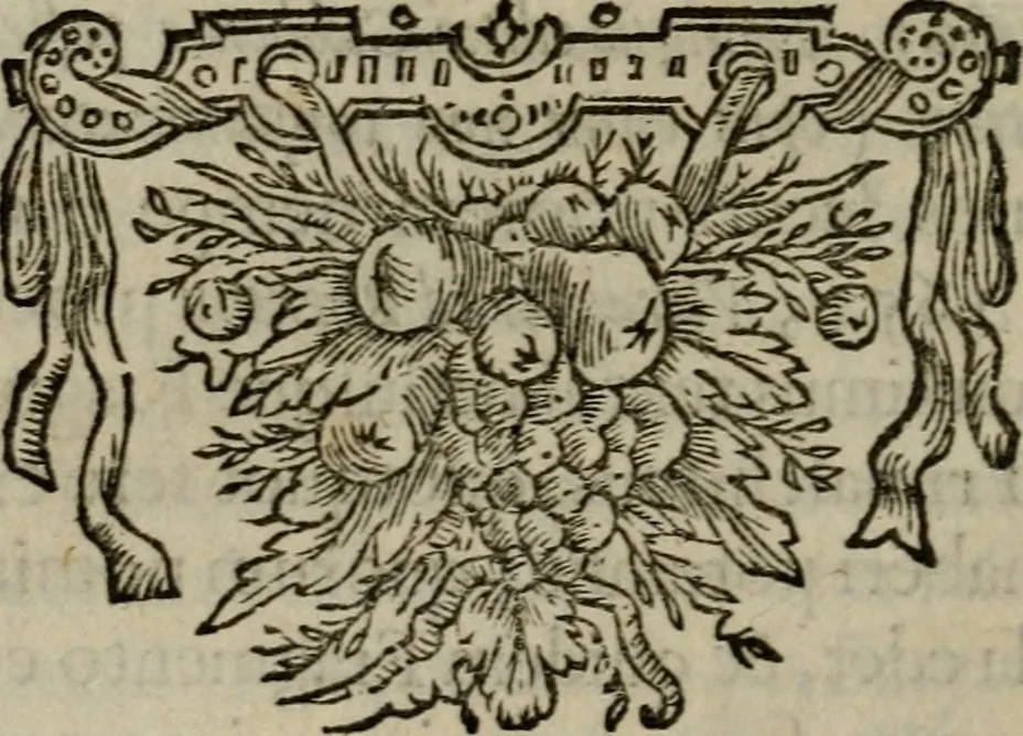 An illustration from Titi Petronii Arbitri equitis Romani Satyricon : cum fragmento nuper Tragurii reperto. Accedunt diversorum poëtarum Lusus in Priapum, Pervigilium Veneris, Ausonii Cento nuptialis, Cupido crucifixus, Epistolae de Cleopatra, & alia nonnulla : omnia commentariis & notis doctorum virorum illustrata, 1669, leaf 27
