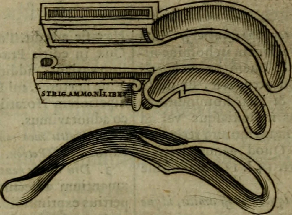 An illustration from Titi Petronii Arbitri equitis Romani Satyricon : cum fragmento nuper Tragurii reperto. Accedunt diversorum poëtarum Lusus in Priapum, Pervigilium Veneris, Ausonii Cento nuptialis, Cupido crucifixus, Epistolae de Cleopatra, & alia nonnulla : omnia commentariis & notis doctorum virorum illustrata, 1669, leaf 372
