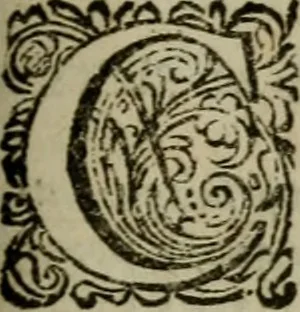 An illustration from Titi Petronii Arbitri equitis Romani Satyricon : cum fragmento nuper Tragurii reperto. Accedunt diversorum poëtarum Lusus in Priapum, Pervigilium Veneris, Ausonii Cento nuptialis, Cupido crucifixus, Epistolae de Cleopatra, & alia nonnulla : omnia commentariis & notis doctorum virorum illustrata, 1669, leaf 642