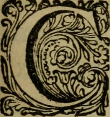 An illustration from Titi Petronii Arbitri equitis Romani Satyricon : cum fragmento nuper Tragurii reperto. Accedunt diversorum poëtarum Lusus in Priapum, Pervigilium Veneris, Ausonii Cento nuptialis, Cupido crucifixus, Epistolae de Cleopatra, & alia nonnulla : omnia commentariis & notis doctorum virorum illustrata, 1669, leaf 8