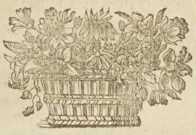 An illustration from Titi Petronii Arbitri equitis Romani Satyricon : cui accedunt diversorum poëtarum Lusus in Priapum, Errones Venerei, Pervigilium Veneris, Floridi de Qualitate vitae, epigrammata Valerii Aeditui, Ausonii Cento nuptialis, Cupido cruci-affixus, ejusdem Rosae, Priapisimus, epistolae de Cleopatra, cum ecloga Tobiae Gutberleth ; cum notis Bourdelotii & glossario Petroniano, 1677, leaf 245