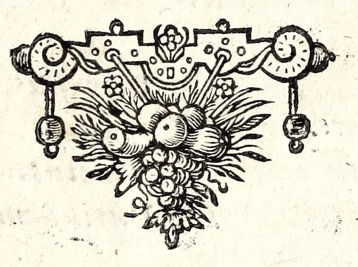 An illustration from Titi Popmae Phrysii De operis servorum liber, 1672, leaf 189