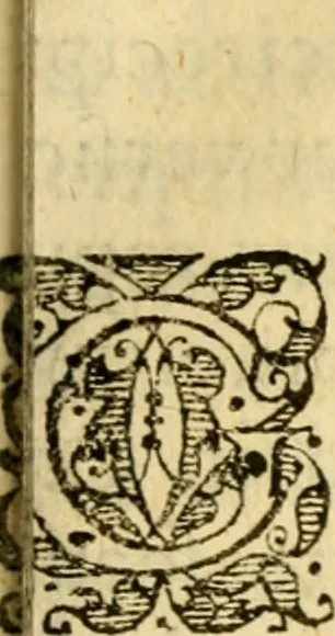 An illustration from Tituli Calvinistarum, collecti, in ordinem redacti, et explicati, 1614, leaf 254