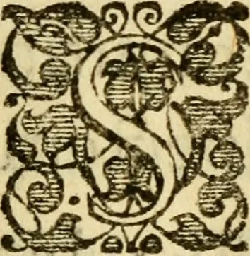 An illustration from Tituli Calvinistarum, collecti, in ordinem redacti, et explicati, 1614, leaf 6