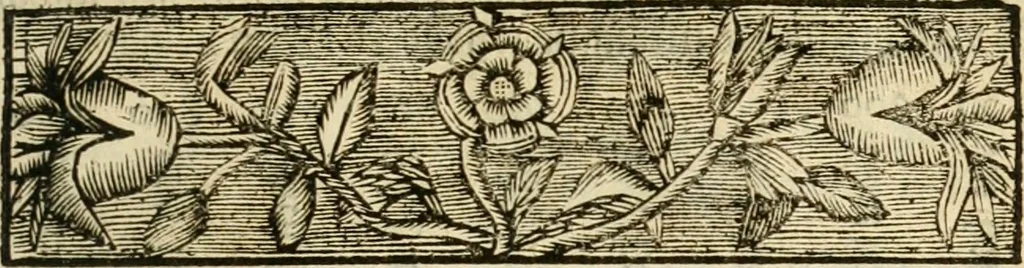An illustration from 't Konstigh cyffer-voek van Mr. Jean Coutereels : met volkomene uytwerkingh aller questien, en byvoegingh van veelerley andere soo noodige als konstige opgevingen, 1690, leaf 24