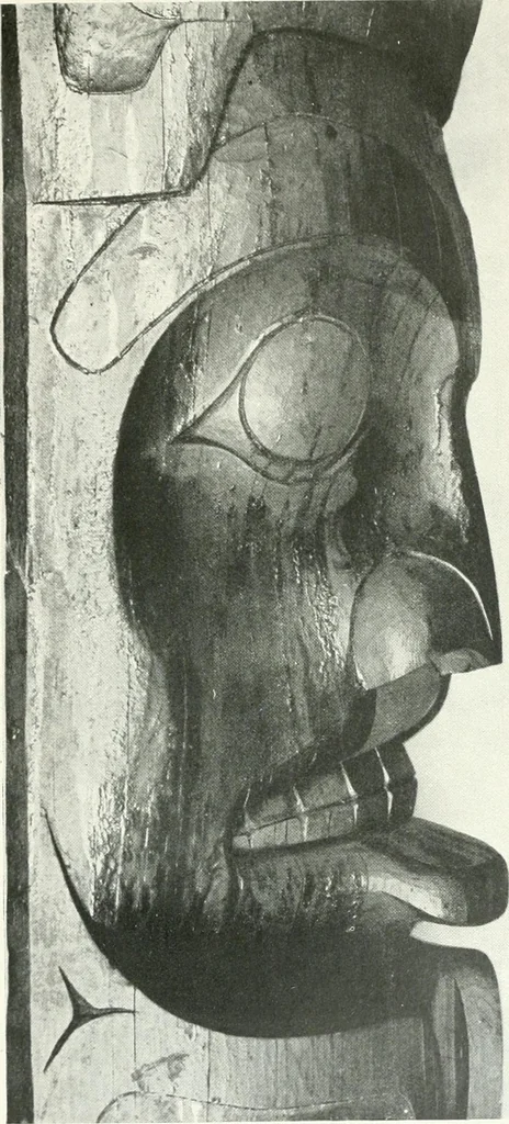 An illustration from Tlinkit u. Haida : Indianerstämme der Westküste von Nord-Amerika : Kultische Kunst und Mythen des Kulturkreises, 1922, leaf 84