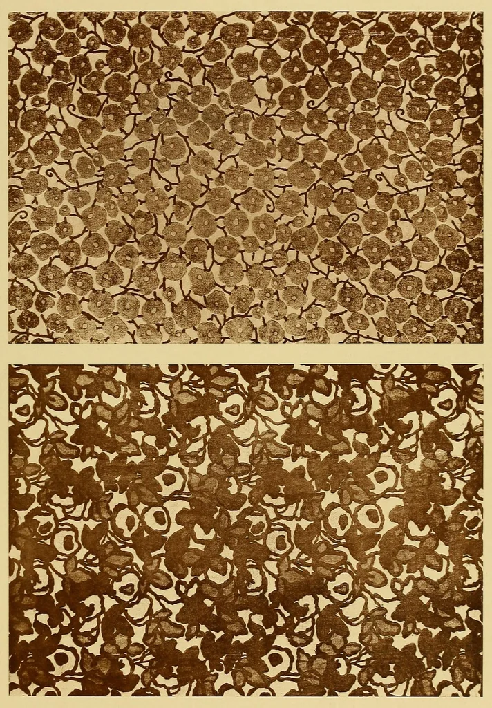 An illustration from Étoffes imprimées et papiers peints;, 1924, leaf 113