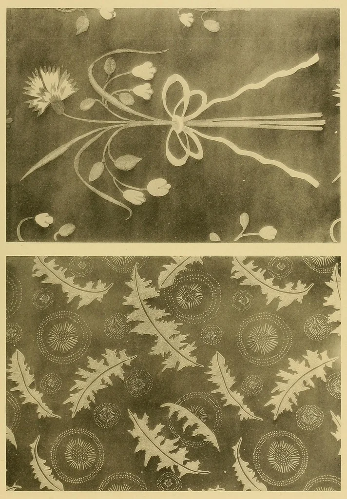 An illustration from Étoffes imprimées et papiers peints;, 1924, leaf 21