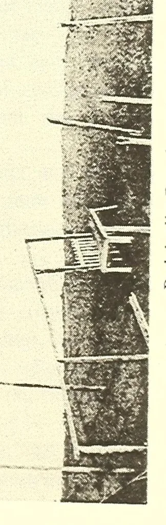 An illustration from Togo unter deutscher Flagge Reisebilder und Betrachtungen, 1899, leaf 105