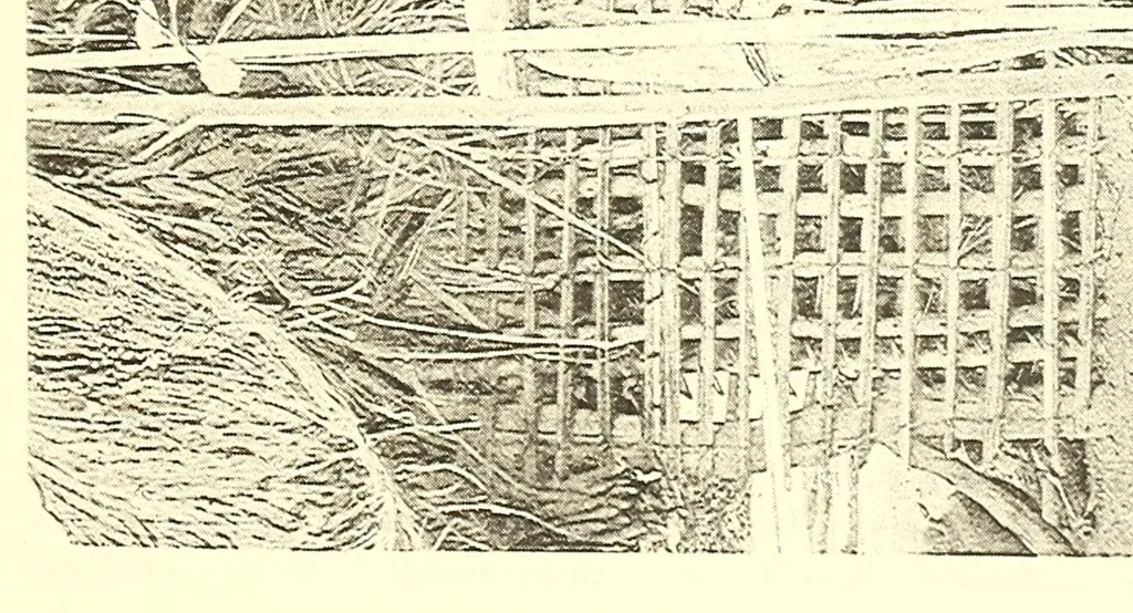 An illustration from Togo unter deutscher Flagge Reisebilder und Betrachtungen, 1899, leaf 189