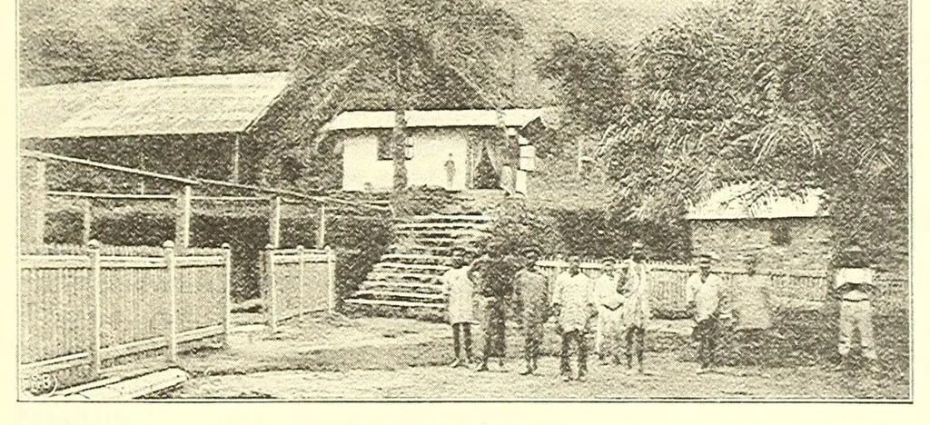 An illustration from Togo unter deutscher Flagge Reisebilder und Betrachtungen, 1899, leaf 219