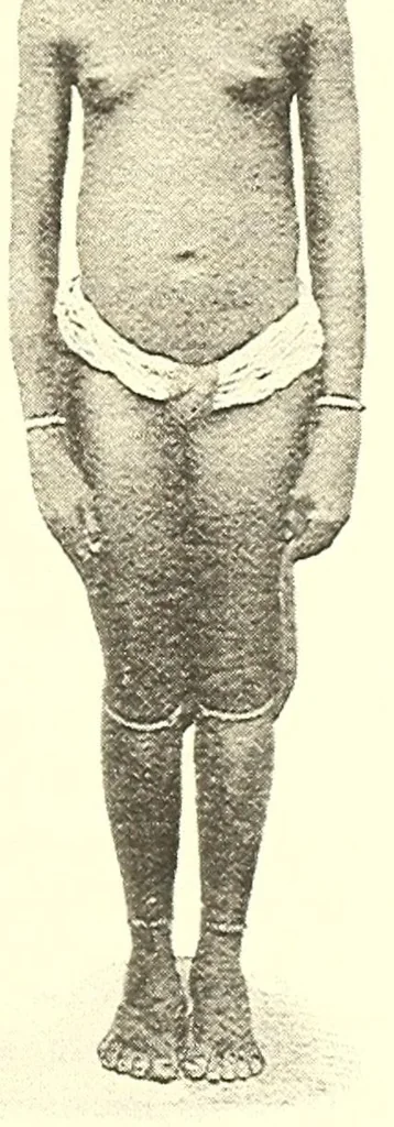 An illustration from Togo unter deutscher Flagge Reisebilder und Betrachtungen, 1899, leaf 297