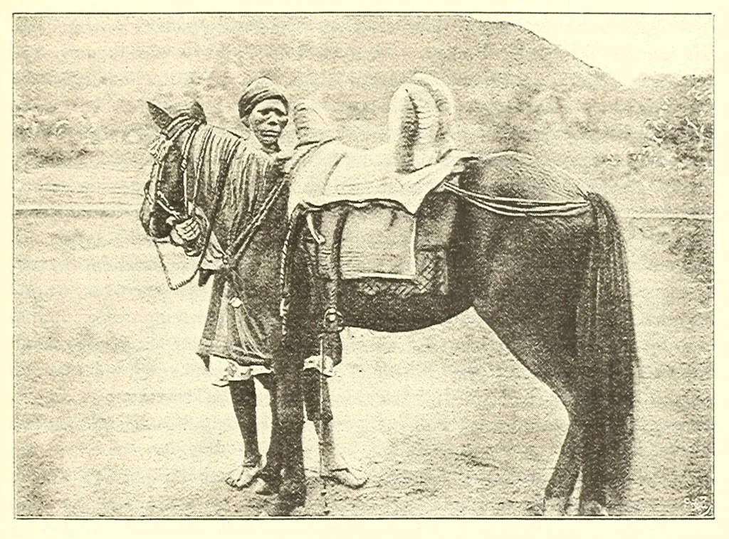 An illustration from Togo unter deutscher Flagge Reisebilder und Betrachtungen, 1899, leaf 411