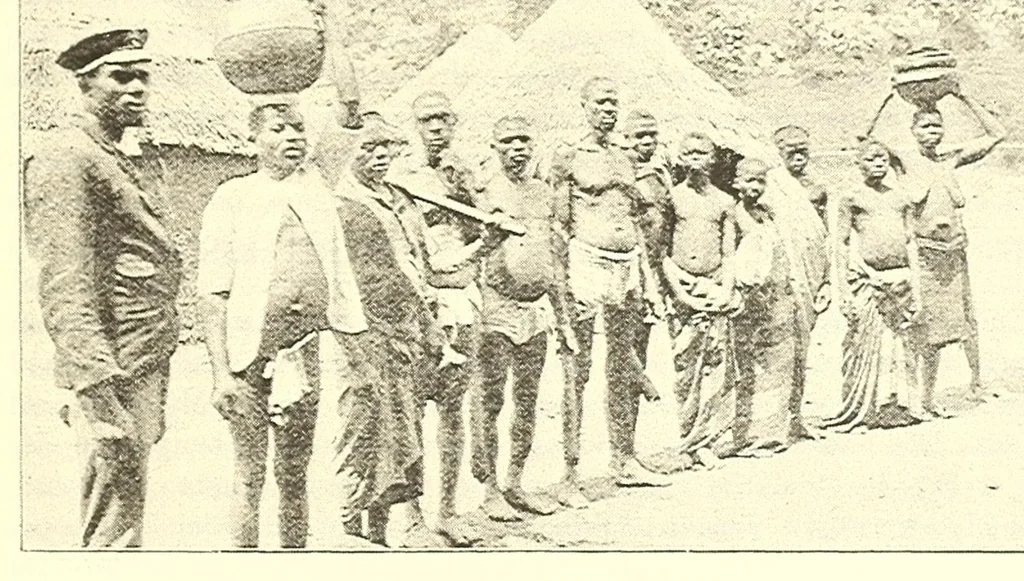 An illustration from Togo unter deutscher Flagge Reisebilder und Betrachtungen, 1899, leaf 481