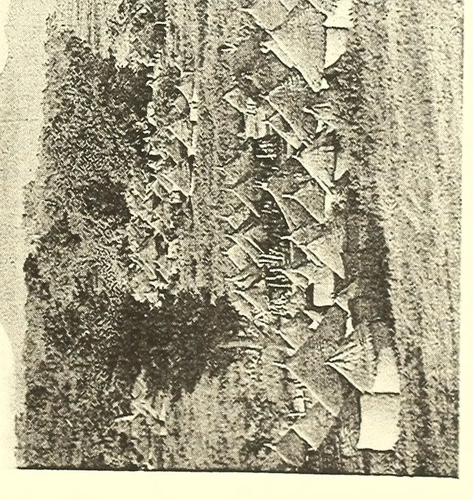 An illustration from Togo unter deutscher Flagge Reisebilder und Betrachtungen, 1899, leaf 521