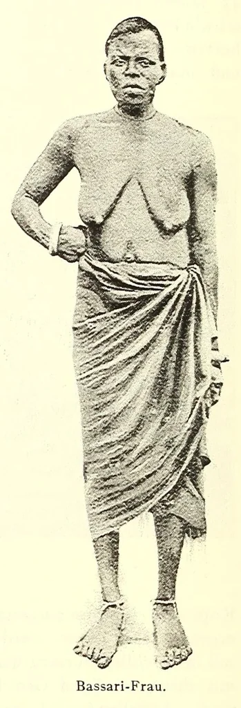 An illustration from Togo unter deutscher Flagge Reisebilder und Betrachtungen, 1899, leaf 544