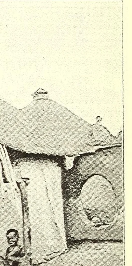 An illustration from Togo unter deutscher Flagge Reisebilder und Betrachtungen, 1899, leaf 556