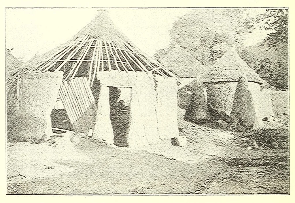 An illustration from Togo unter deutscher Flagge Reisebilder und Betrachtungen, 1899, leaf 560