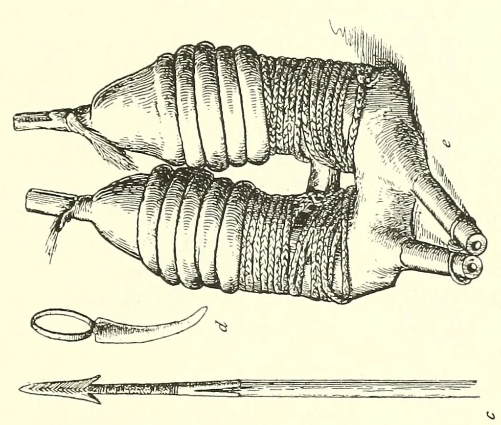 An illustration from Togo unter deutscher Flagge Reisebilder und Betrachtungen, 1899, leaf 567