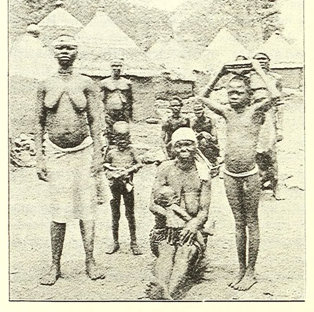 An illustration from Togo unter deutscher Flagge Reisebilder und Betrachtungen, 1899, leaf 578