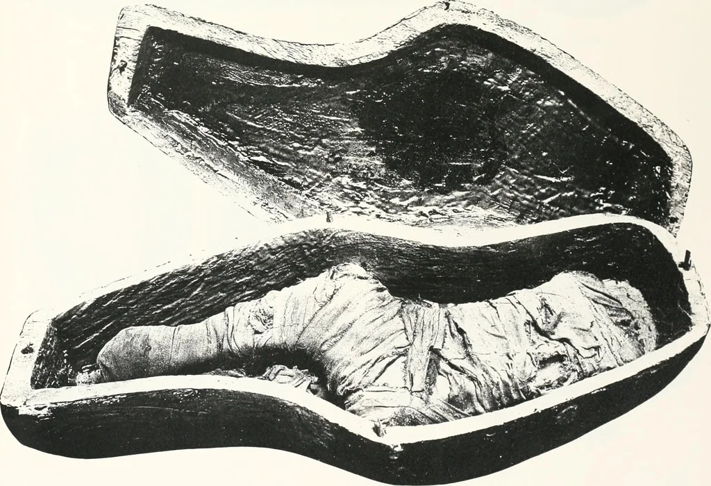 An illustration from Tomb of Yuaa and Thuiu, 1908, leaf 140