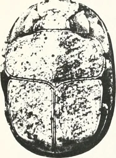 An illustration from Tomb of Yuaa and Thuiu, 1908, leaf 194
