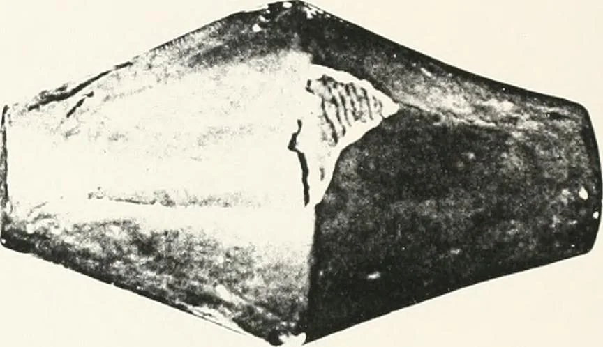 An illustration from Tomb of Yuaa and Thuiu, 1908, leaf 196