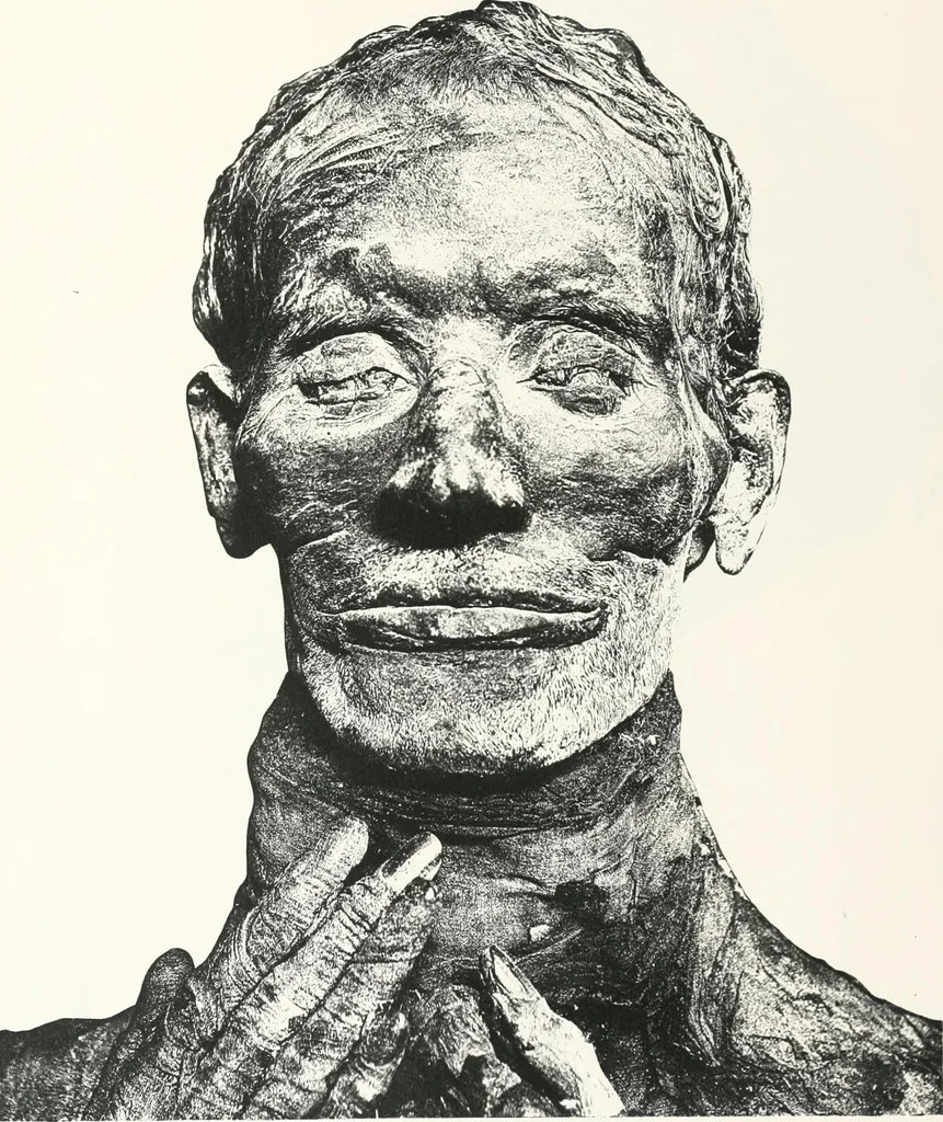 An illustration from Tomb of Yuaa and Thuiu, 1908, leaf 210