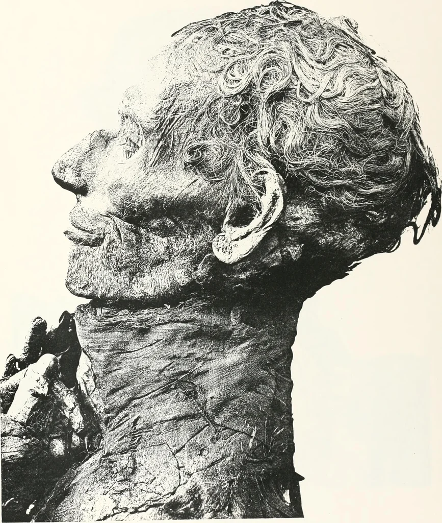 An illustration from Tomb of Yuaa and Thuiu, 1908, leaf 212