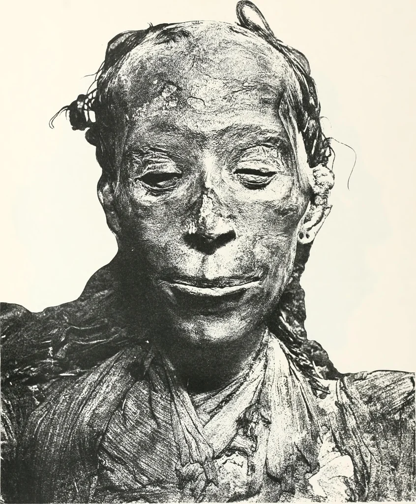 An illustration from Tomb of Yuaa and Thuiu, 1908, leaf 214