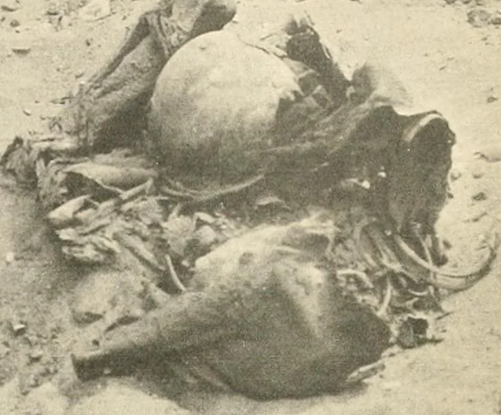 An illustration from Tombs of the third Egyptian dynasty at Reqâqnah and Bêt Khallâf, 1904, leaf 112