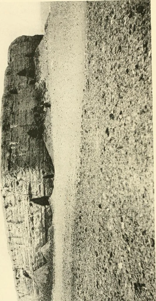 An illustration from Tombs of the third Egyptian dynasty at Reqâqnah and Bêt Khallâf, 1904, leaf 15