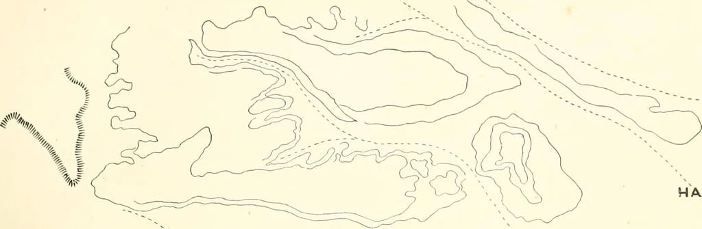An illustration from Tombs of the third Egyptian dynasty at Reqâqnah and Bêt Khallâf, 1904, leaf 18