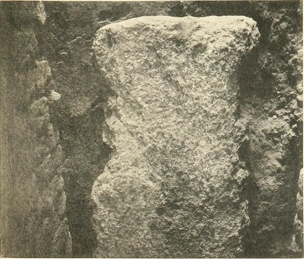 An illustration from Tombs of the third Egyptian dynasty at Reqâqnah and Bêt Khallâf, 1904, leaf 36
