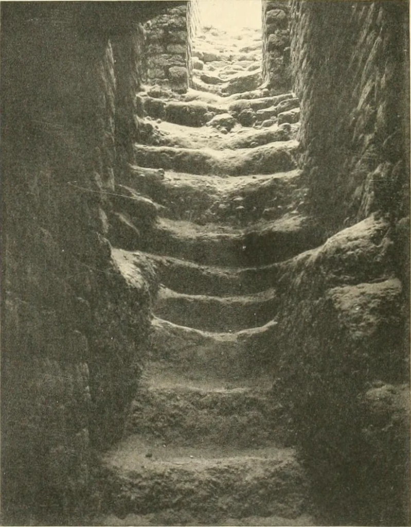 An illustration from Tombs of the third Egyptian dynasty at Reqâqnah and Bêt Khallâf, 1904, leaf 36