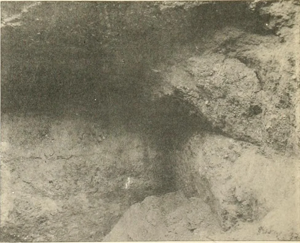 An illustration from Tombs of the third Egyptian dynasty at Reqâqnah and Bêt Khallâf, 1904, leaf 36