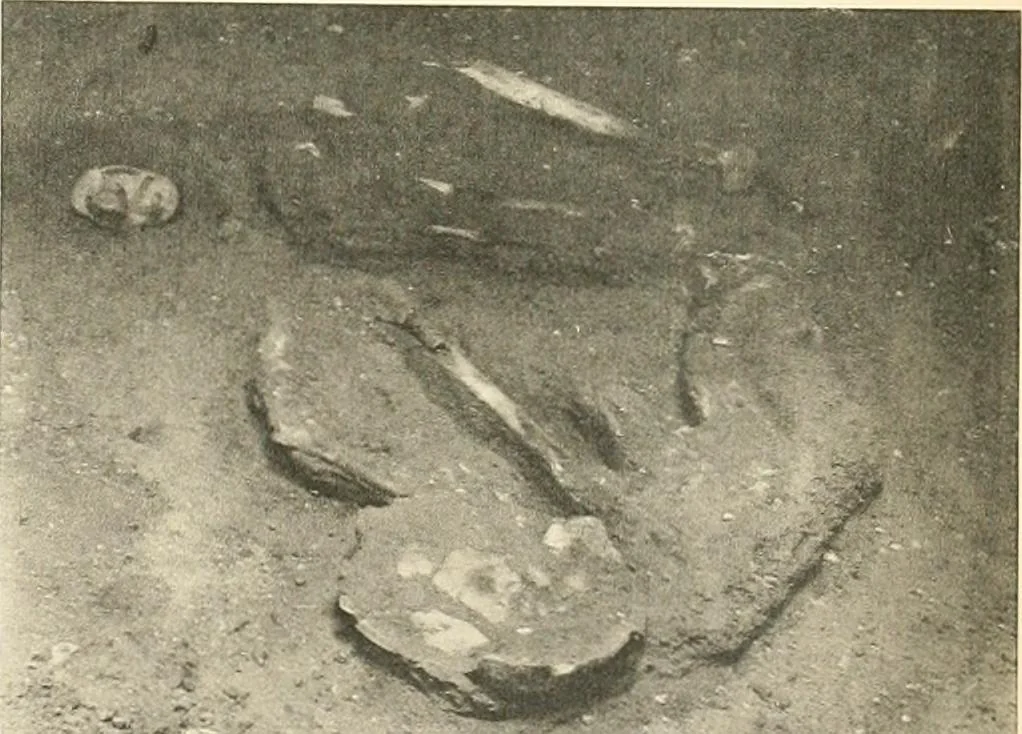 An illustration from Tombs of the third Egyptian dynasty at Reqâqnah and Bêt Khallâf, 1904, leaf 92