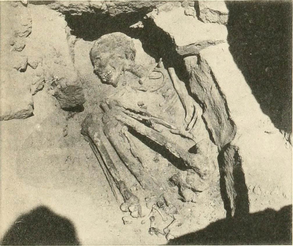 An illustration from Tombs of the third Egyptian dynasty at Reqâqnah and Bêt Khallâf, 1904, leaf 96