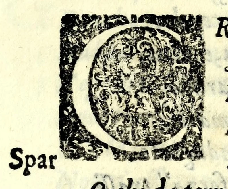 An illustration from Tomiri : tragedia, 1607, leaf 43