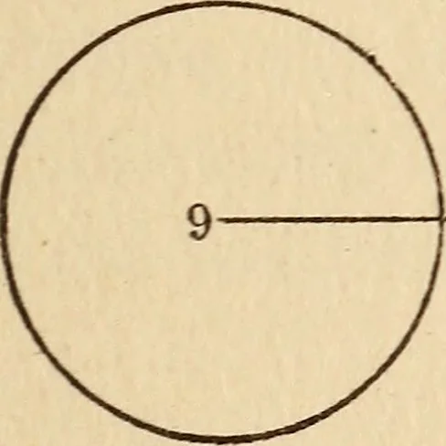 An illustration from To the moon and back in ninety days : a thrilling narrative of blended science and adventure, 1922, leaf 102