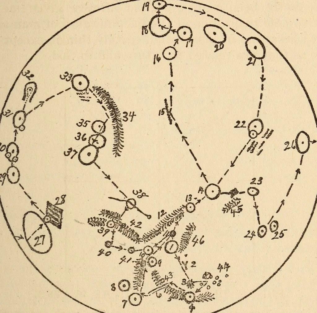 An illustration from To the moon and back in ninety days : a thrilling narrative of blended science and adventure, 1922, leaf 150