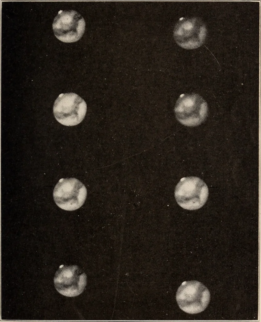 An illustration from To the moon and back in ninety days : a thrilling narrative of blended science and adventure, 1922, leaf 68