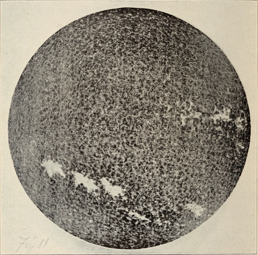 An illustration from To the moon and back in ninety days : a thrilling narrative of blended science and adventure, 1922, leaf 69