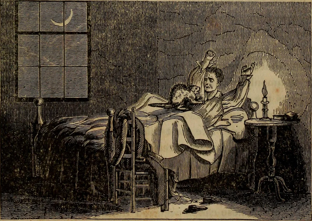 An illustration from The tongue of time, and star of the states : a system of human nature, with the phenomena of the heavens and earth ... also an account of persons with two souls, and of five persons who took colors by the touch, 1838, leaf 216