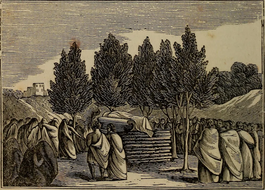 An illustration from The tongue of time, and star of the states : a system of human nature, with the phenomena of the heavens and earth ... also an account of persons with two souls, and of five persons who took colors by the touch, 1838, leaf 267