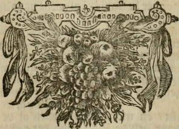An illustration from Tooneel des oorlogs, opgerecht in de Vereenigde Nederlanden : door de wapenen van de koningen van Vrankryk en Engeland, Keulsche en Munstersche Bisschoppen : tegen de Staten der Vereenigde Nederlanden, en hare geallieerden ..., 1675, leaf 327