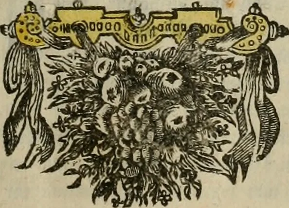 An illustration from Tooneel des oorlogs, opgerecht in de Vereenigde Nederlanden : door de wapenen van de koningen van Vrankryk en Engeland, Keulsche en Munstersche Bisschoppen : tegen de Staten der Vereenigde Nederlanden, en hare geallieerden ..., 1675, leaf 6