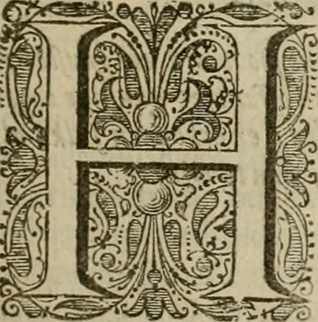 An illustration from Tooneel des oorlogs, opgerecht in de Vereenigde Nederlanden : door de wapenen van de koningen van Vrankryk en Engeland, Keulsche en Munstersche Bisschoppen : tegen de Staten der Vereenigde Nederlanden, en hare geallieerden ..., 1675, leaf 8