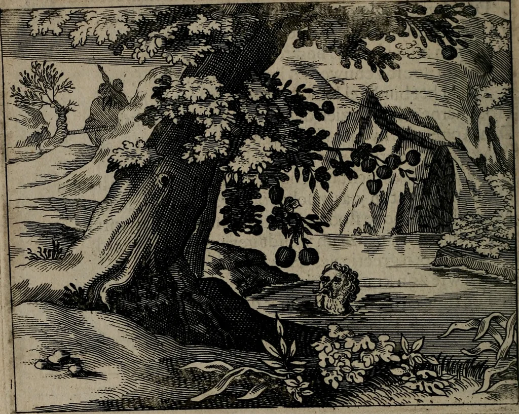 An illustration from Toonneel des menschelikken levens : Of de vernieuwde gulden winkel ; waer in door poëtische, historische, morale, en schriftuurlikke leeringen, den mensche vertoont werdt, hoedanigh hy zijn leven, handel, en wandel, zediglik, eerbaarlik en vermakelik fal overbrengen, 1661, leaf 141