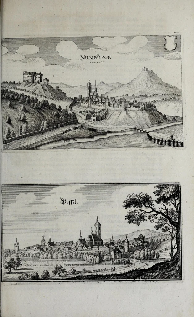 An illustration from Topographia Archiepiscopatuvm Moguntinensis, Treuirensis, et Coloniensis : das ist, Beschreibung der vornembsten Stätt vnd Plätz in denen Ertzbistumen Maÿnz, Trier, vnd Cöln, 1646, leaf 101